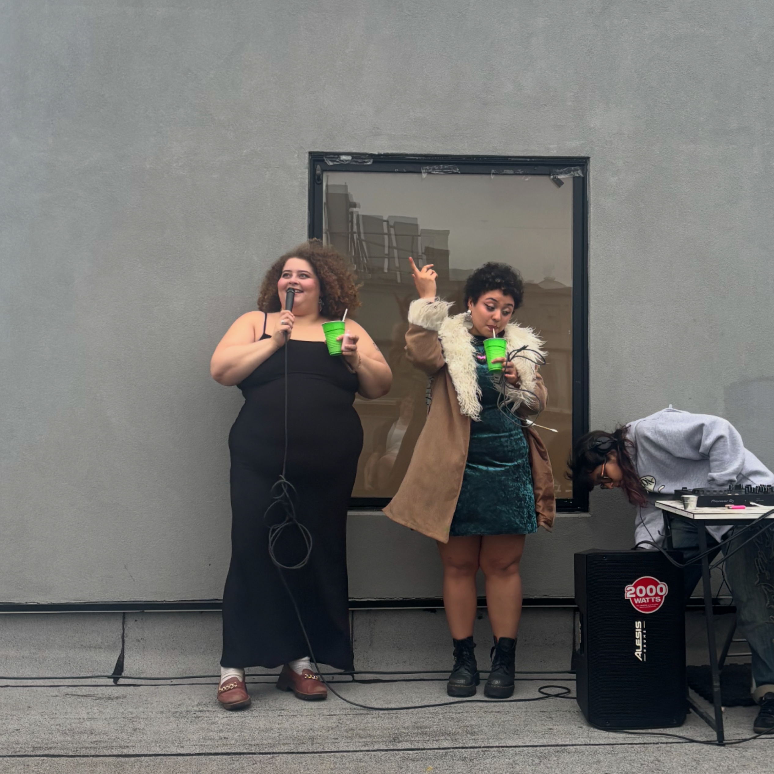Amelie and Pinky stand outside together,
                        excitedly addressing an unseen crowd. Amelie is wearing a long, black velvet 
                        dress, and pinky is wearing a short, dark green dress with a beige fur trim coat.